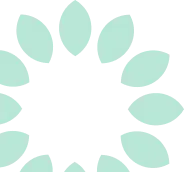 designs