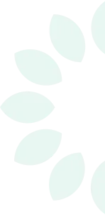 shapes